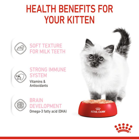 Royal Canin Kitten – Hrană Umedă pentru Pisici Junior, tip Pate, 85 g